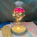 LED Valentine Day Gift For Girlfriend Eternal Rose Light 24K Gold Foil Flower In Glass Cover Mothers Day Wedding Bridesmaid Gift - Image 14
