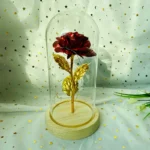 LED Valentine Day Gift For Girlfriend Eternal Rose Light 24K Gold Foil Flower In Glass Cover Mothers Day Wedding Bridesmaid Gift - Image 29
