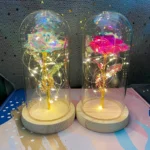 LED Valentine Day Gift For Girlfriend Eternal Rose Light 24K Gold Foil Flower In Glass Cover Mothers Day Wedding Bridesmaid Gift - Image 21