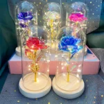 LED Valentine Day Gift For Girlfriend Eternal Rose Light 24K Gold Foil Flower In Glass Cover Mothers Day Wedding Bridesmaid Gift - Image 22