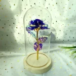 LED Valentine Day Gift For Girlfriend Eternal Rose Light 24K Gold Foil Flower In Glass Cover Mothers Day Wedding Bridesmaid Gift - Image 26