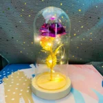 LED Valentine Day Gift For Girlfriend Eternal Rose Light 24K Gold Foil Flower In Glass Cover Mothers Day Wedding Bridesmaid Gift - Image 11