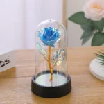 Valentines Day Gift for Girlfriend Eternal Rose LED Light Foil Flower In Glass Cover Mothers Day Wedding Favors Bridesmaid Gift - Image 5