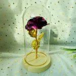 LED Valentine Day Gift For Girlfriend Eternal Rose Light 24K Gold Foil Flower In Glass Cover Mothers Day Wedding Bridesmaid Gift - Image 33