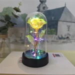 LED Valentine Day Gift For Girlfriend Eternal Rose Light 24K Gold Foil Flower In Glass Cover Mothers Day Wedding Bridesmaid Gift - Image 17