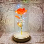 LED Valentine Day Gift For Girlfriend Eternal Rose Light 24K Gold Foil Flower In Glass Cover Mothers Day Wedding Bridesmaid Gift - Image 8