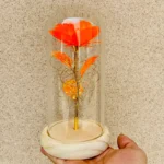 LED Valentine Day Gift For Girlfriend Eternal Rose Light 24K Gold Foil Flower In Glass Cover Mothers Day Wedding Bridesmaid Gift - Image 28