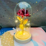 LED Valentine Day Gift For Girlfriend Eternal Rose Light 24K Gold Foil Flower In Glass Cover Mothers Day Wedding Bridesmaid Gift - Image 16