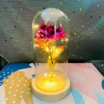 LED Valentine Day Gift For Girlfriend Eternal Rose Light 24K Gold Foil Flower In Glass Cover Mothers Day Wedding Bridesmaid Gift - Image 15
